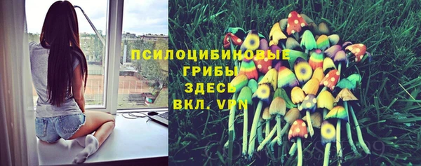 прущий лед Пестово