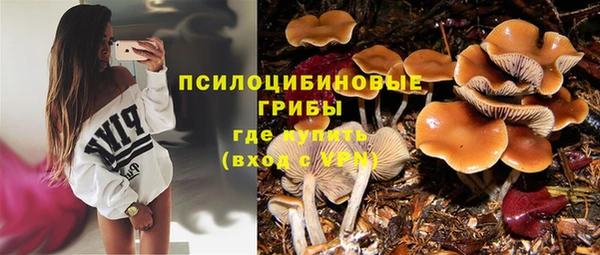 прущая мука Инта