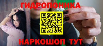 прущие крисы Донецк