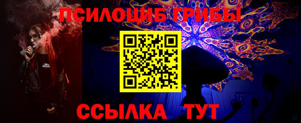 Псилоцибиновые грибы GOLDEN TEACHER  Вход с VPN  Псилоцибиновые грибы MAGIC MUSHROOMS  Протвино 